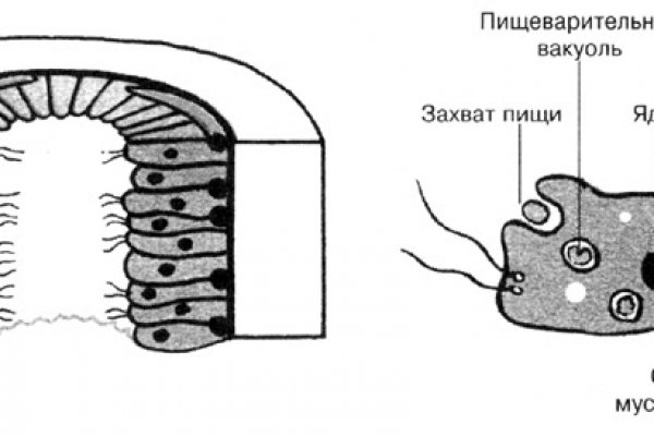 Ссылка омг омг в тор браузере